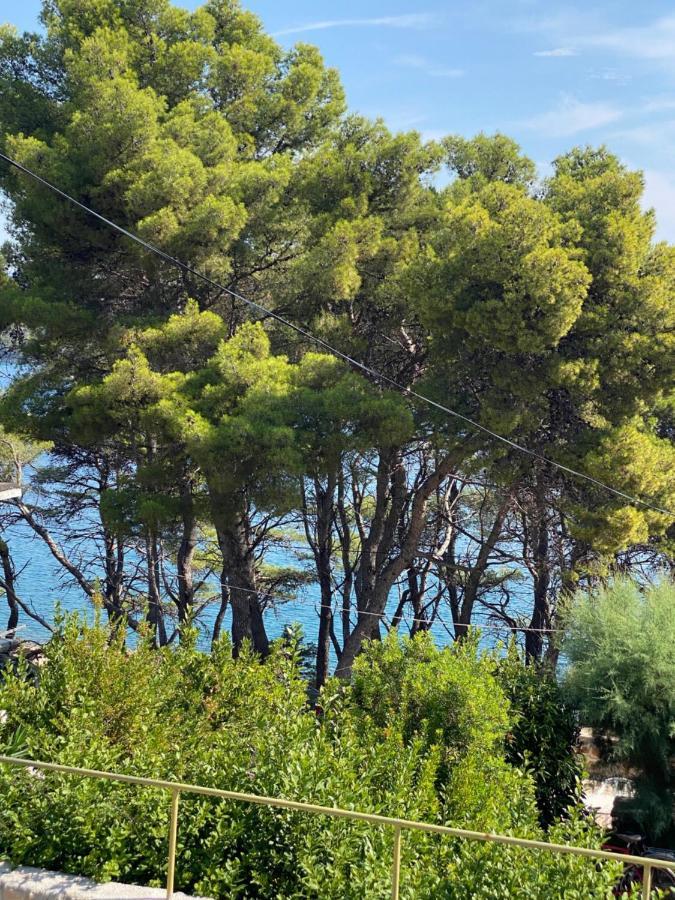 Dvije Palme Jelsa (Hvar)